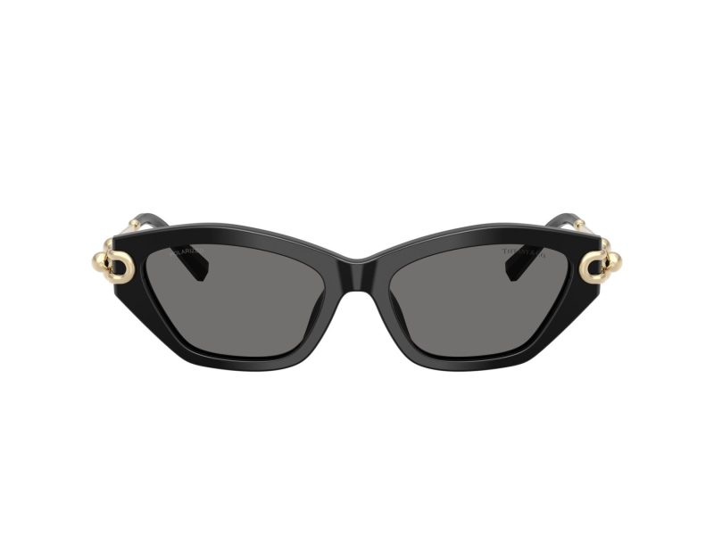 Tiffany Lunettes de Soleil TF 4231U 800181