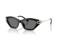 Tiffany Lunettes de Soleil TF 4231U 800181