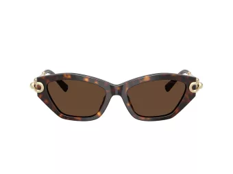 Tiffany Lunettes de Soleil TF 4231U 80153G