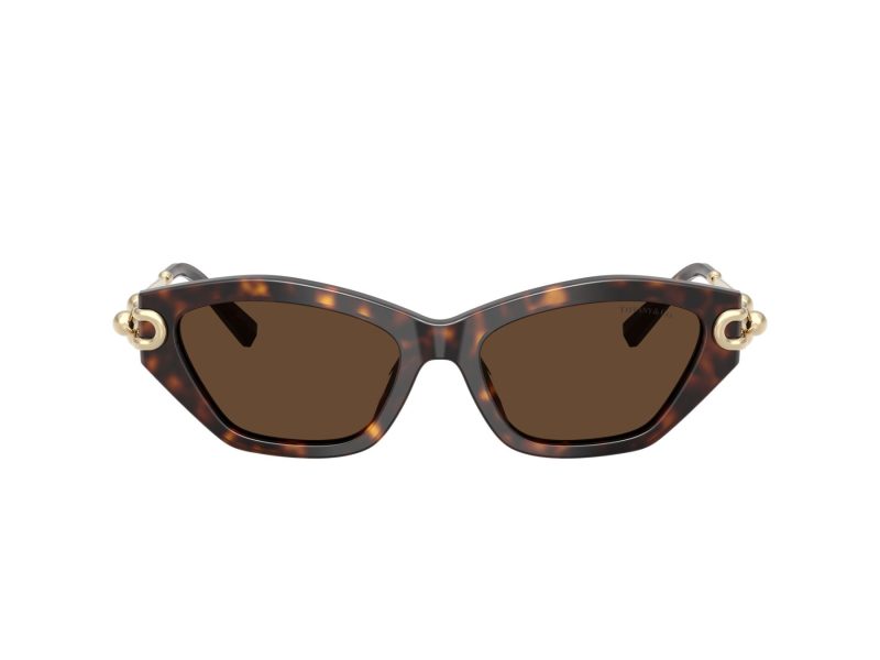 Tiffany Lunettes de Soleil TF 4231U 80153G