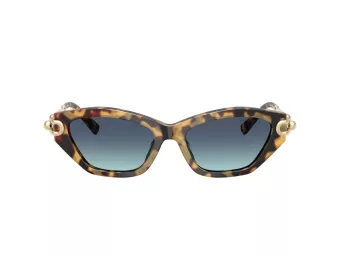 Tiffany Lunettes de Soleil 4231U 80649S