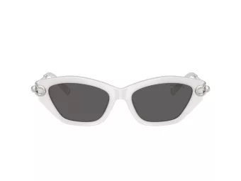 Tiffany Lunettes de Soleil TF 4231U 8437S4