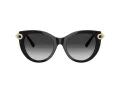 Tiffany Lunettes de Soleil TF 4232 80013C