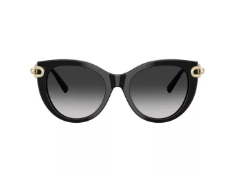 Tiffany Lunettes de Soleil TF 4232 80013C
