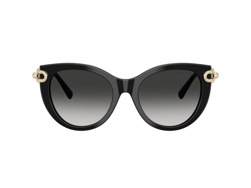 Tiffany Lunettes de Soleil TF 4232 80013C