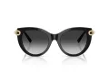 Tiffany Lunettes de Soleil TF 4232 80013C