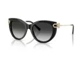 Tiffany Lunettes de Soleil TF 4232 80013C