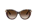 Tiffany Lunettes de Soleil TF 4232 80153B