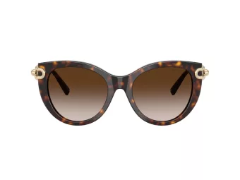Tiffany Lunettes de Soleil TF 4232 80153B