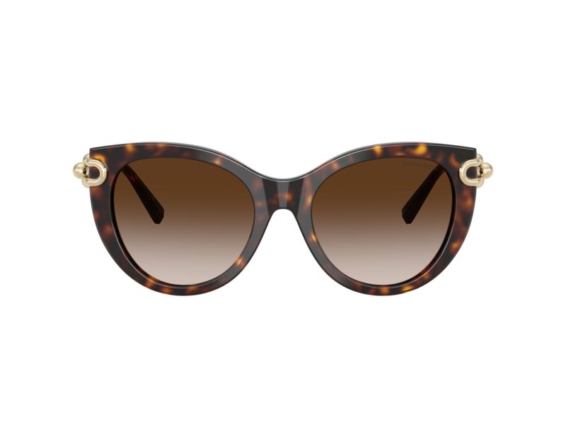 Tiffany Lunettes de Soleil TF 4232 80153B