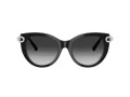 Tiffany Lunettes de Soleil TF 4232 80553C