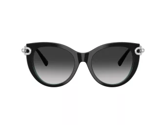 Tiffany Lunettes de Soleil TF 4232 80553C