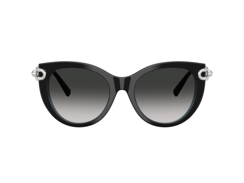 Tiffany Lunettes de Soleil TF 4232 80553C