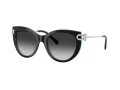 Tiffany Lunettes de Soleil TF 4232 80553C