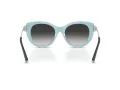 Tiffany Lunettes de Soleil TF 4232 80553C