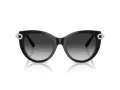 Tiffany Lunettes de Soleil TF 4232 80553C