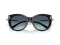 Tiffany Lunettes de Soleil TF 4232 83429S