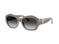 Tiffany Lunettes de Soleil TF 4233U 84013C