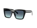 Tiffany Lunettes de Soleil TF 4235 83429S