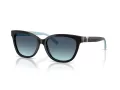 Tiffany Lunettes de Soleil TF 4237B 80019S