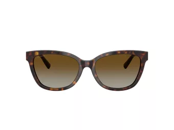 Tiffany Lunettes de Soleil TF 4237B 8015T5