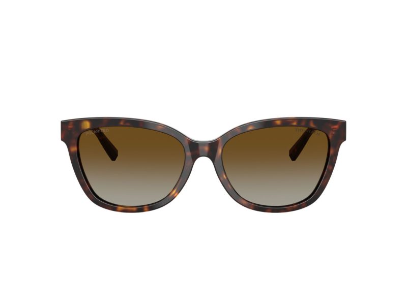 Tiffany Lunettes de Soleil TF 4237B 8015T5