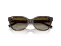 Tiffany Lunettes de Soleil TF 4237B 8015T5