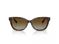 Tiffany Lunettes de Soleil TF 4237B 8015T5