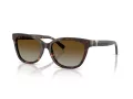 Tiffany Lunettes de Soleil TF 4237B 8015T5