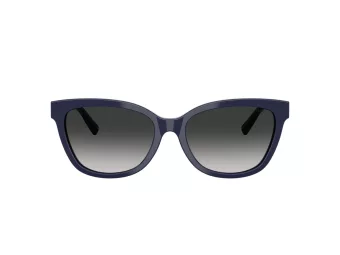 Tiffany Lunettes de Soleil TF 4237B 83963C