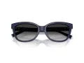 Tiffany Lunettes de Soleil TF 4237B 83963C