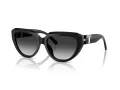 Tiffany Lunettes de Soleil TF 4238U 80013C