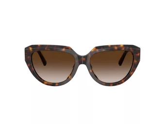 Tiffany Lunettes de Soleil TF 4238U 80153B
