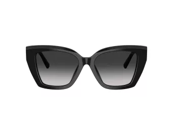 Tiffany Lunettes de Soleil TF 4239U 80013C