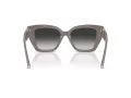 Tiffany Lunettes de Soleil TF 4239U 84013C