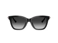 Tiffany Lunettes de Soleil TF 4241D 80013C