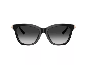 Tiffany Lunettes de Soleil TF 4241D 80013C
