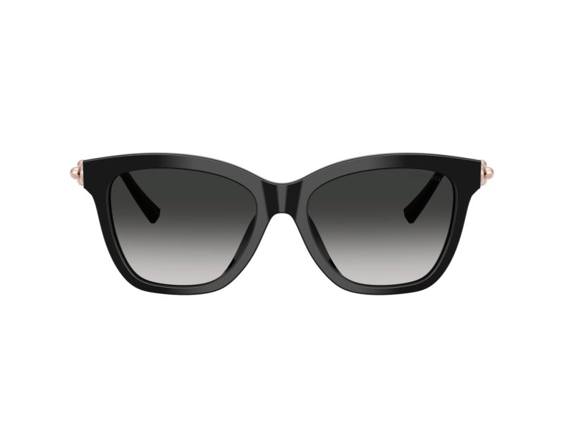 Tiffany Lunettes de Soleil TF 4241D 80013C