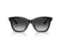 Tiffany Lunettes de Soleil TF 4241D 80013C