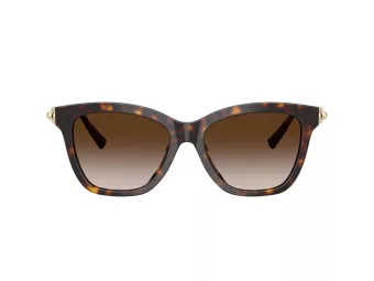 Tiffany Lunettes de Soleil TF 4241D 80153B