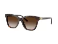 Tiffany Lunettes de Soleil TF 4241D 80153B