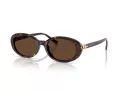 Tiffany Lunettes de Soleil TF 4242D 80153G