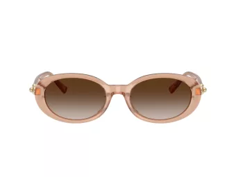 Tiffany Lunettes de Soleil TF 4242D 82683B