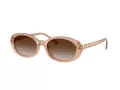 Tiffany Lunettes de Soleil TF 4242D 82683B