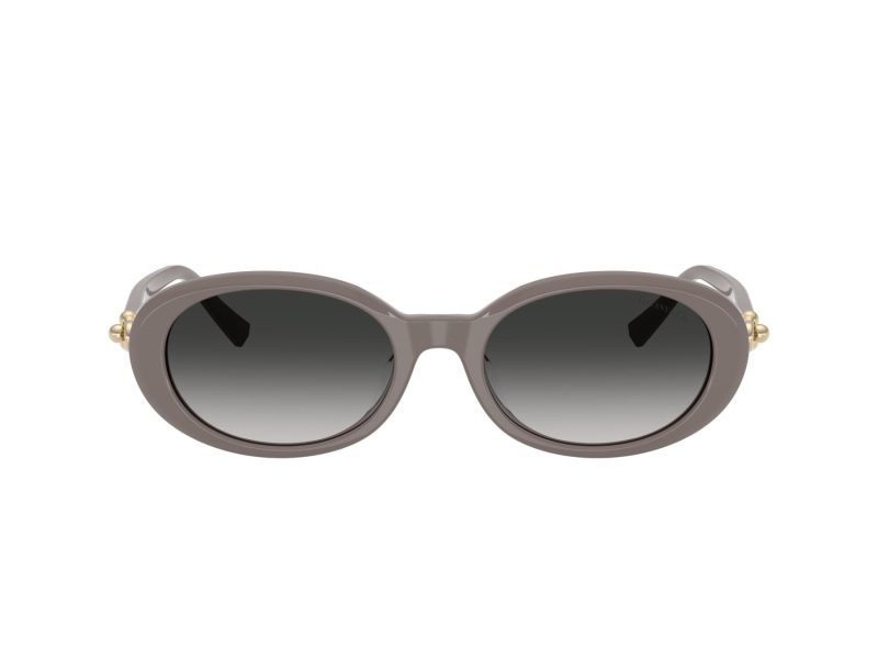 Tiffany Lunettes de Soleil TF 4242D 84013C