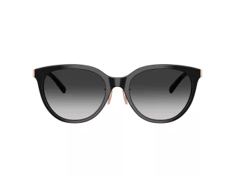 Tiffany Lunettes de Soleil TF 4243D 80013C