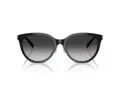 Tiffany Lunettes de Soleil TF 4243D 80013C
