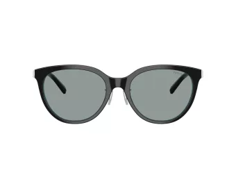 Tiffany Lunettes de Soleil TF 4243D 8055/1