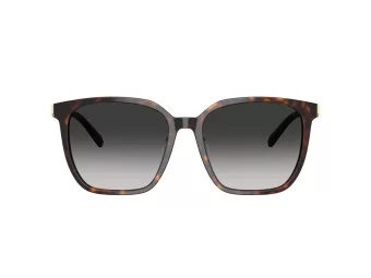 Tiffany Lunettes de Soleil TF 4244D 80153C