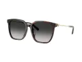 Tiffany Lunettes de Soleil TF 4244D 80153C